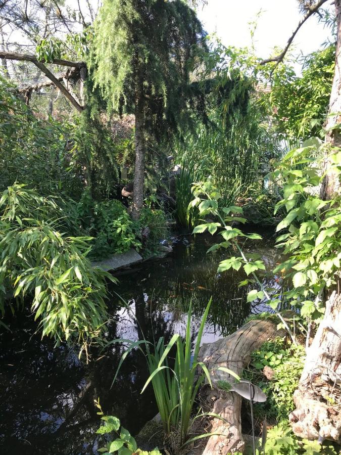 Wohnen Im Eulengarten Oranienburg Exteriör bild