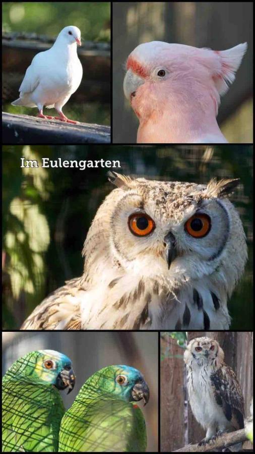 Wohnen Im Eulengarten Oranienburg Exteriör bild