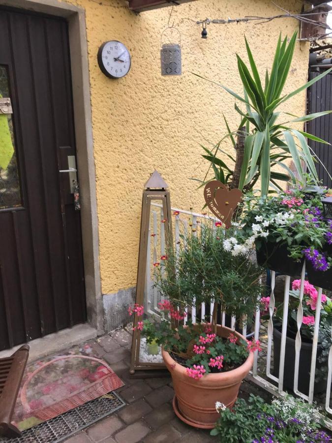 Wohnen Im Eulengarten Oranienburg Exteriör bild