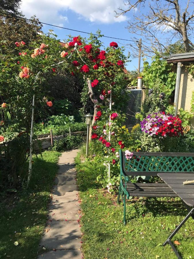 Wohnen Im Eulengarten Oranienburg Exteriör bild